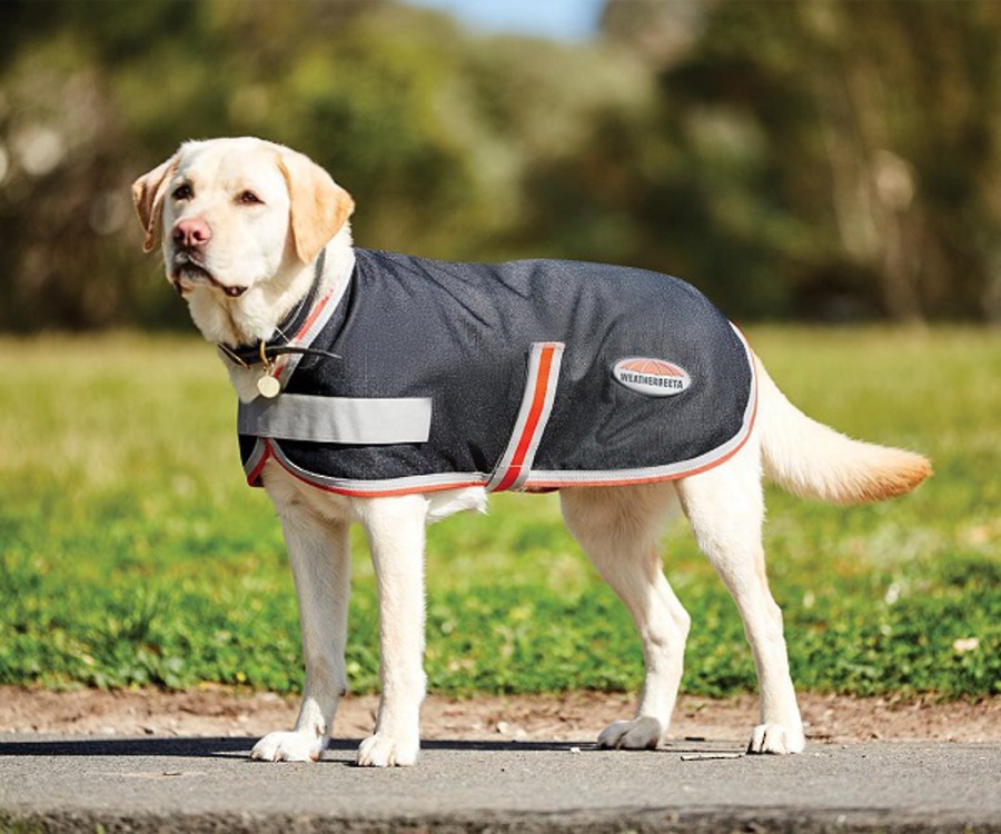 Weatherbeeta Comfitec 1200D Therapy-Tec Dog Coat image 3